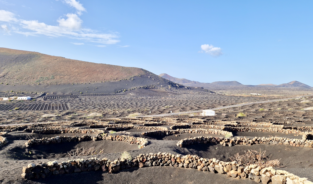 Lanzarote La Geria