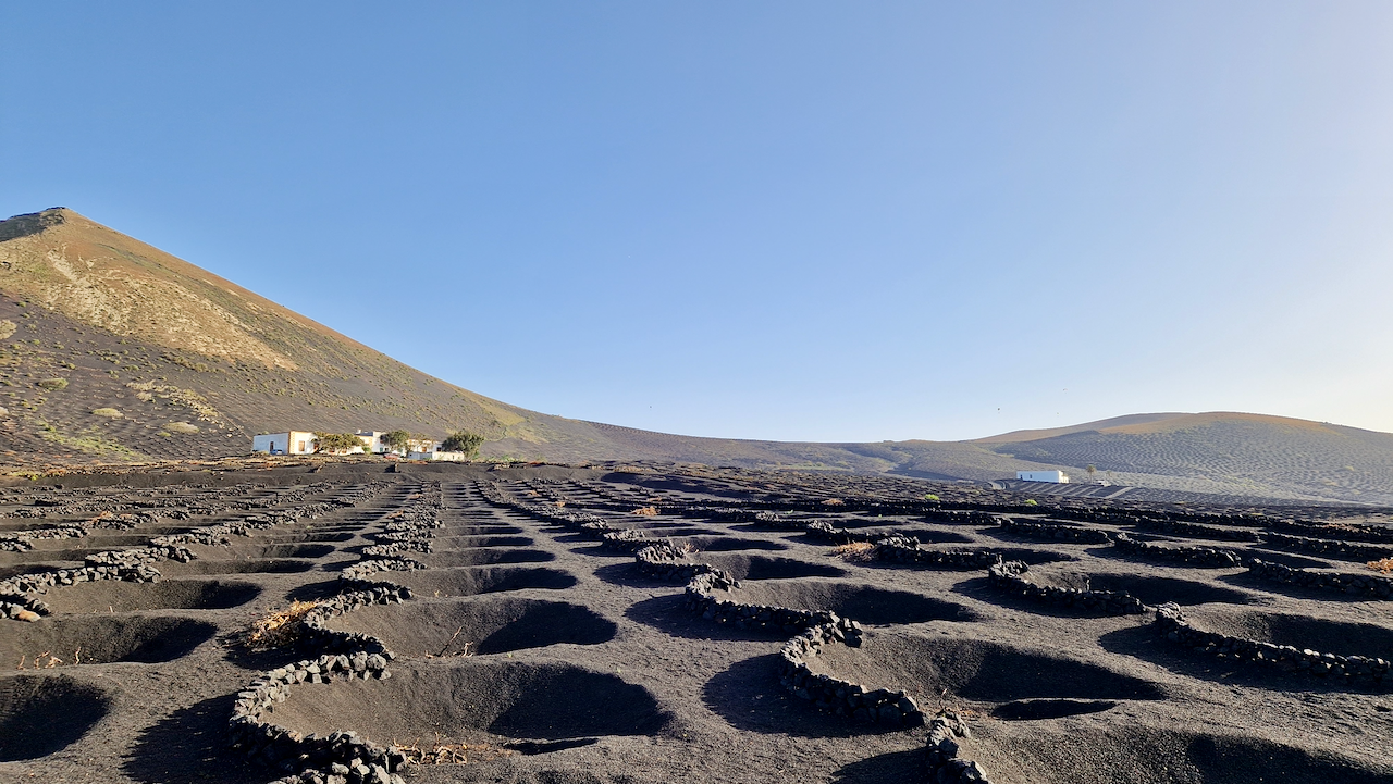 Lanzarote La Geria