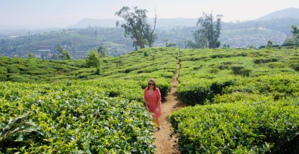 Nuwara Eliya: Unterwegs im Hochland