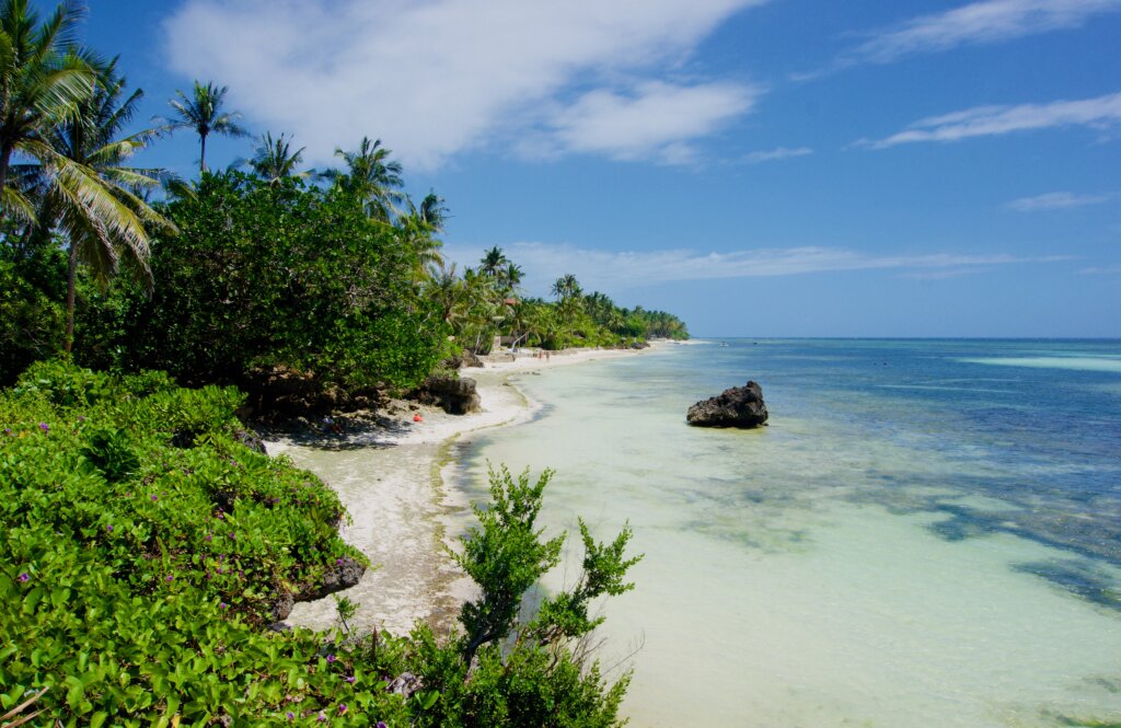 Bohol