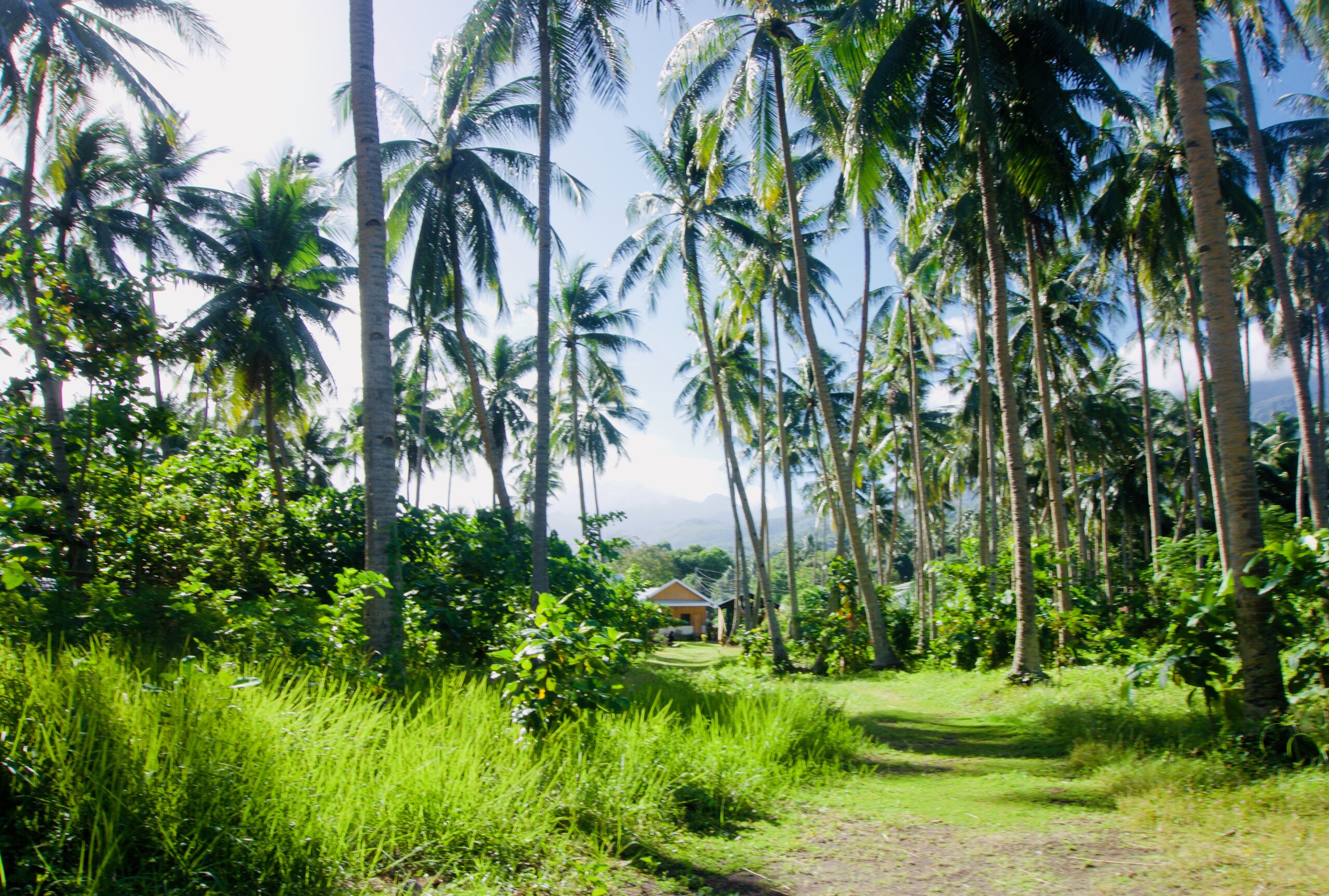 Camiguin: Vulkaninsel für Abenteurer